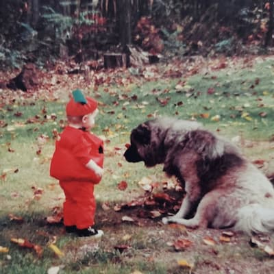 Photograph of Matthew dressed as a pumpkin with an Akita dog